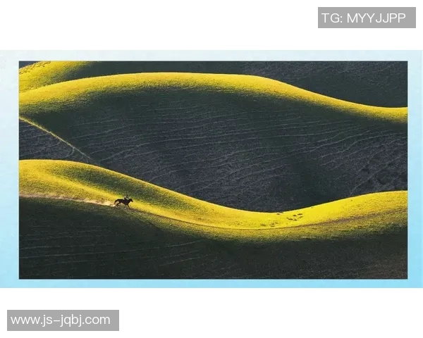 摄影艺术的魅力与技巧探索:从基础构图到创意表现的全方位解析 摄影艺术的魅力与技巧探索:从基础构图到创意表现的全方位解析