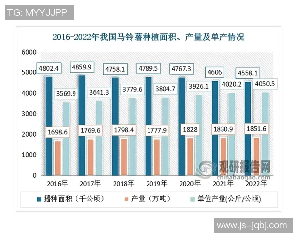 深入探讨WE耐力表现的数据分析与趋势解读